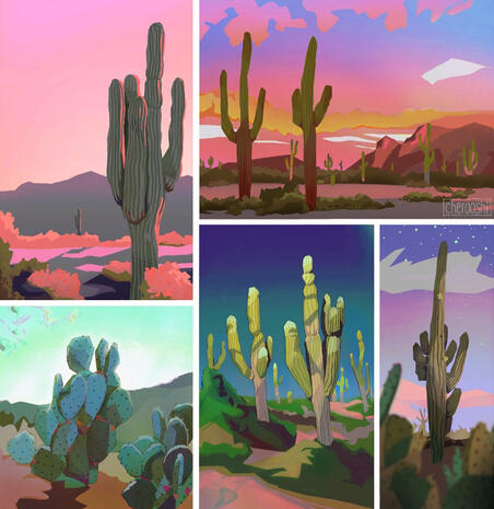 Cactus Studies 2019